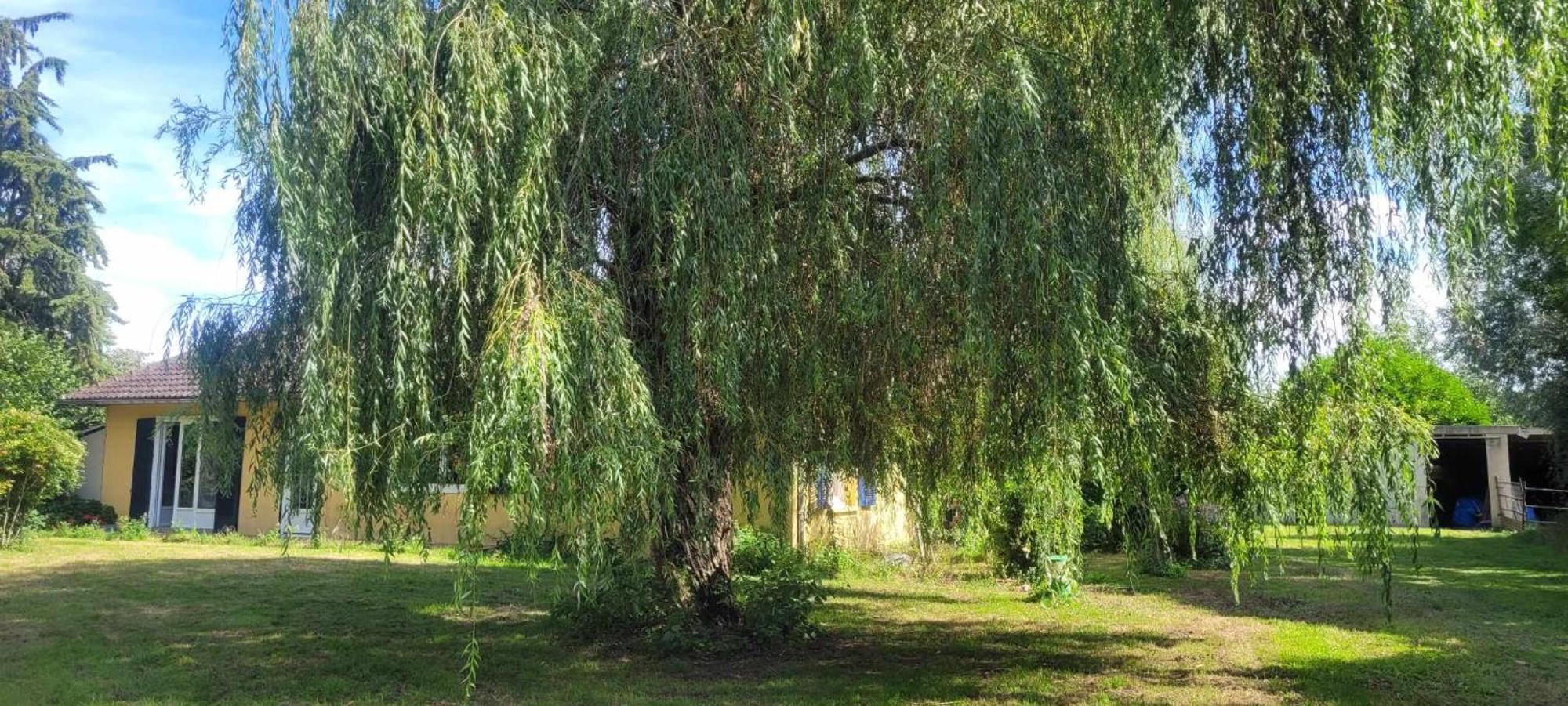 Gite Du Pont De Tancelle Preaux  Екстер'єр фото